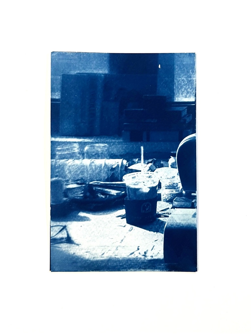 Cyanotype Wall Art Print Size 4”x6”